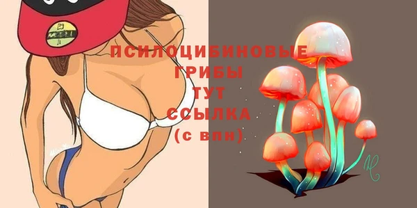 крисы Аркадак