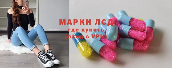 крисы Аркадак