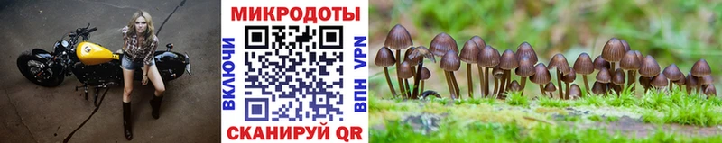 Галлюциногенные грибы MAGIC MUSHROOMS  где купить наркоту  Певек 